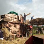 Threshing the straw